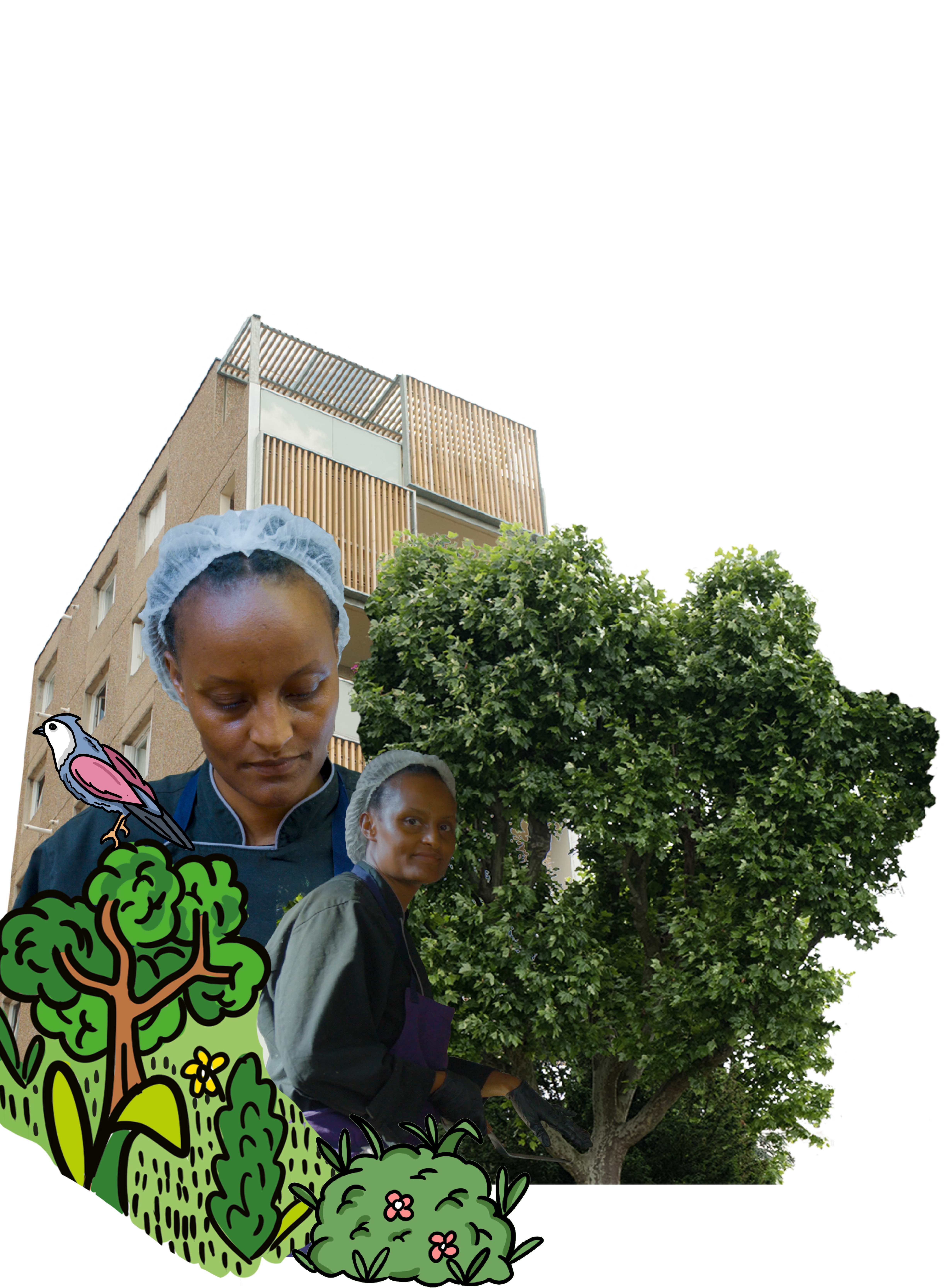 Abeba et la formation solidaire